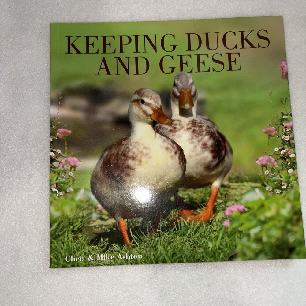 Keeping Ducks and Geese by Ashton, Chris; Ashton, Mike